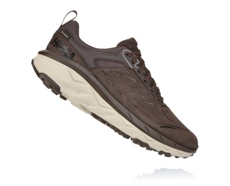 Hoka One One Challenger Low Gore-tex Moški Trail Tekaški Čevlji Kava SI-964123Z